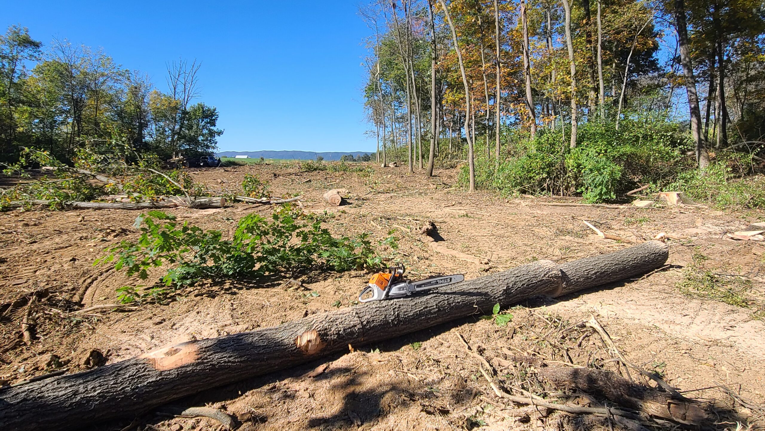 land clearing and tree harvesting